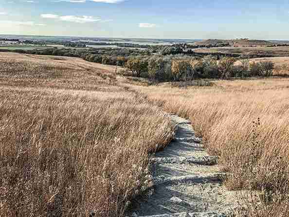 The Konza Prairie, one of the top 10 things to do in North Central Kansas